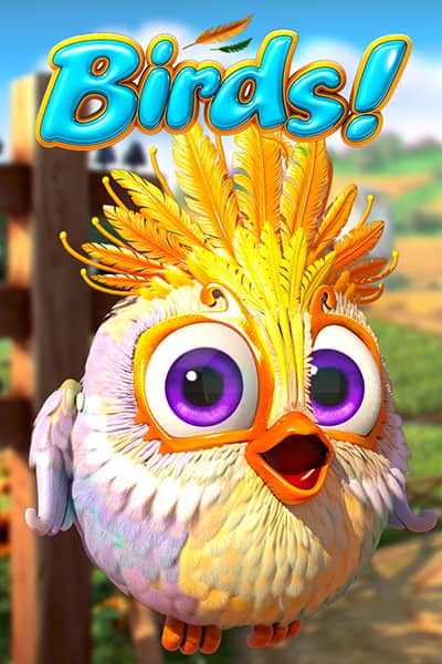 Birds